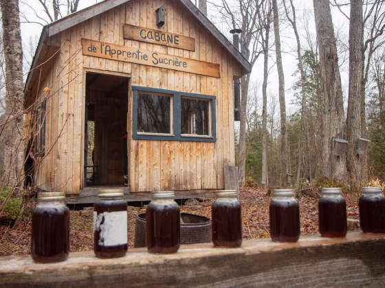 Quebec – We made our own maple syrup the traditional way in a sugar bush!