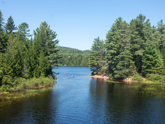 Canada, Québec – Camping, trek, randonnée, pêche : notre été nature autour de Montréal !