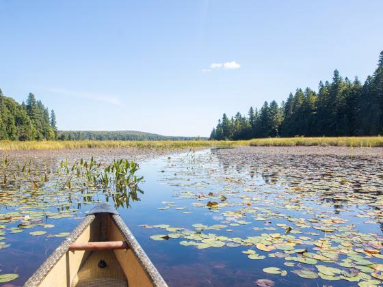 Canada, Ontario – 4 jours de canot-camping au parc provincial de l&rsquo;Algonquin