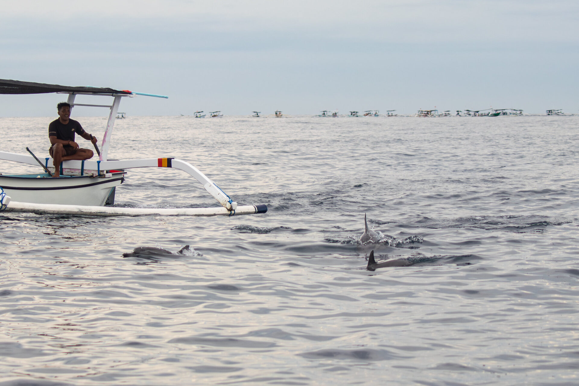 Indonesia, Bali – Bali Dolphin Watching Tour: Mom Swimming with Dolphins for Her Birthday Indonesia, Bali – Bali Dolphin Watching Tour: Mom Swimming with Dolphins for Her Birthday